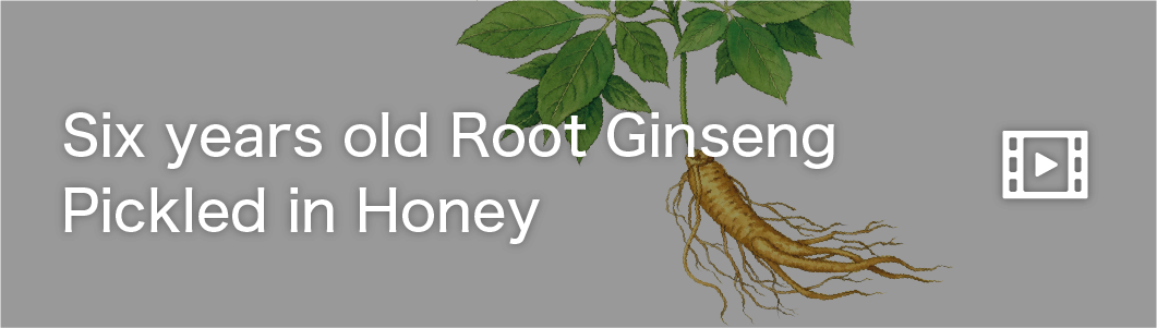 Six-year-old Root Ginseng Pickled in Honey
