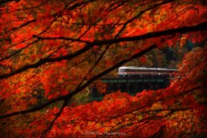 飛騨高山の秋の景色